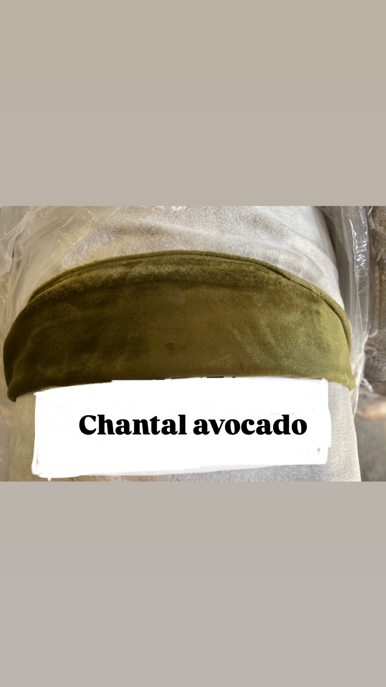 Chantal Avocado
