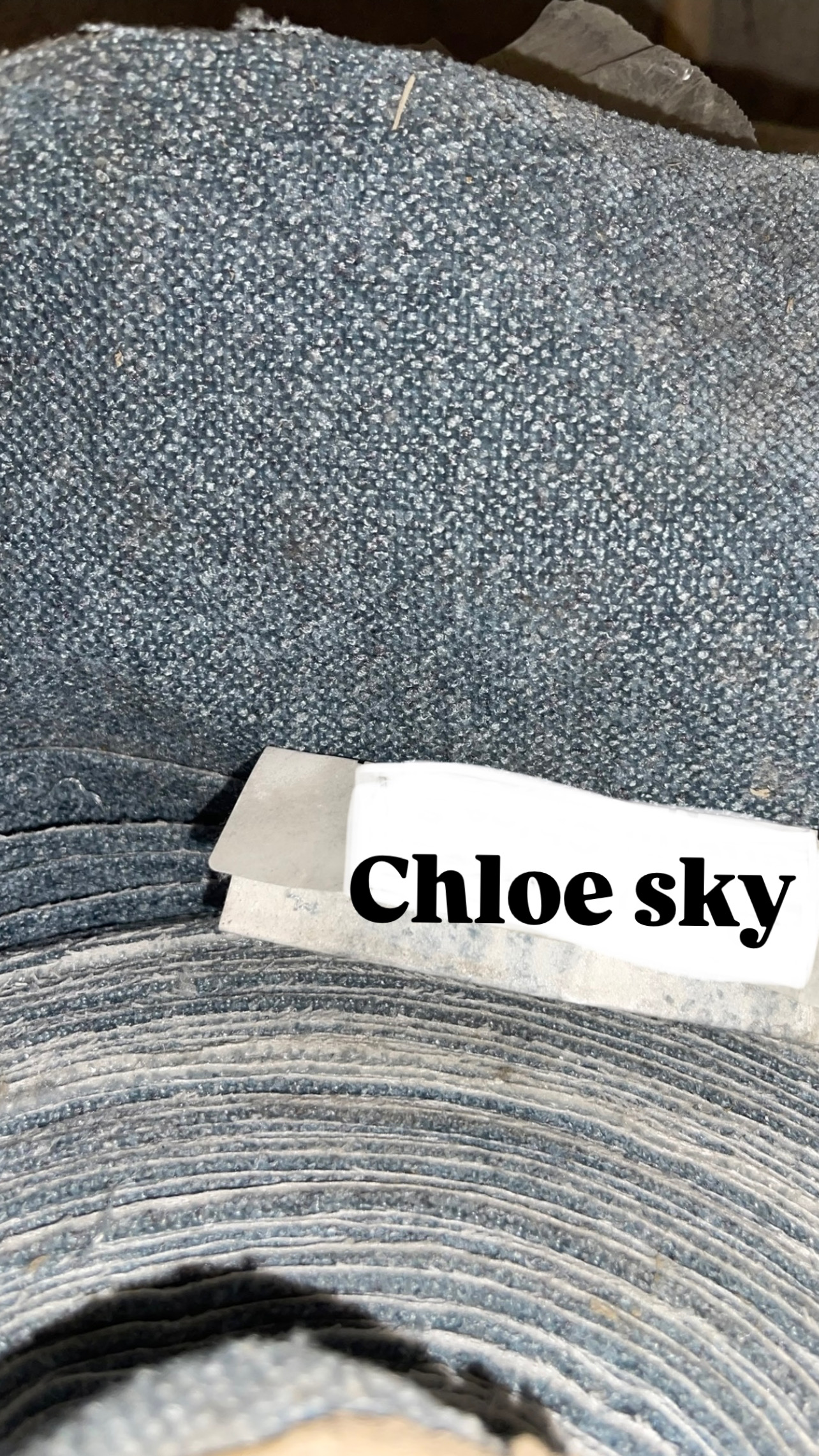 Chloe Sky